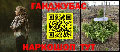 гашик Нарткала