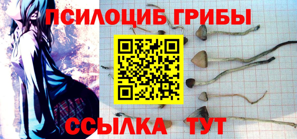 Псилоцибиновые грибы GOLDEN TEACHER Тихвин